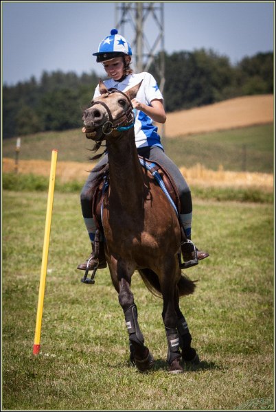 Mounted Games 227